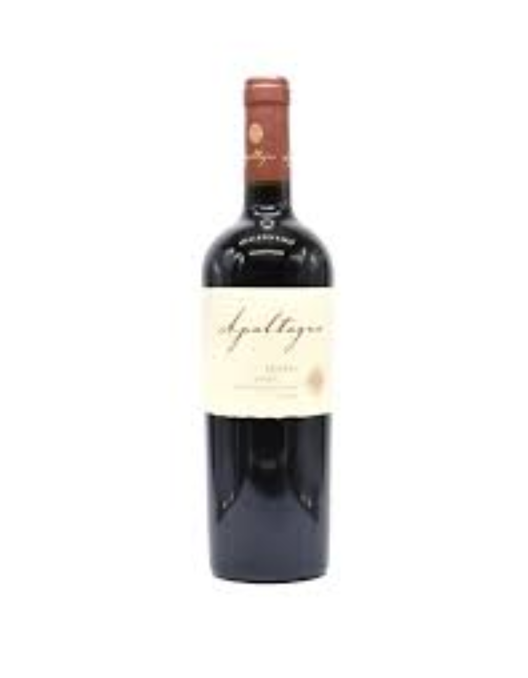 APALTAGUA MALBEC RESERVA 750ML